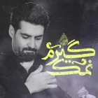 مهدی رعنایی