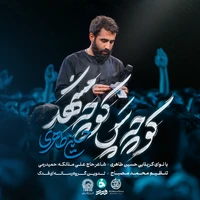 مناجات با امام رضا (ع) استودیویی