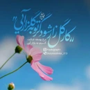 گلچین مولودی های شاد ولادت ائمه (ع) ۱۴۰۳