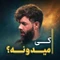 نماهنگ کی میدونه