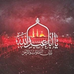  اربعین حسینی فراق و دلتنگی کربلا