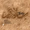 نماهنگ سلام مادر