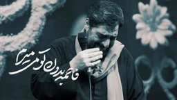 سید مجید بنی فاطمه