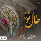 حسین خلجی