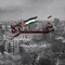 نماهنگ غزه تنها نیست