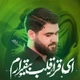 نماهنگ ای قرار قلب بیقرارم حسین