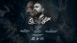 محمد ابراهیمی اصل