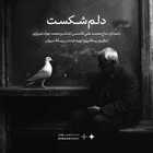 حاج محمد علی قاسمی