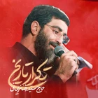 سید رضا نریمانی