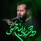 امیر برومند