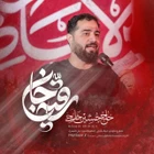 حسین خلجی