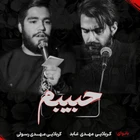 مهدی عابد