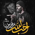 سید علی مومنی