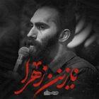 مهرداد ملکی