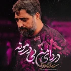 سید مجید بنی فاطمه