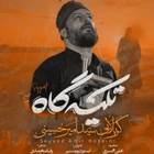 سید امیر حسینی