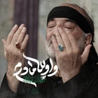نریمان پناهی