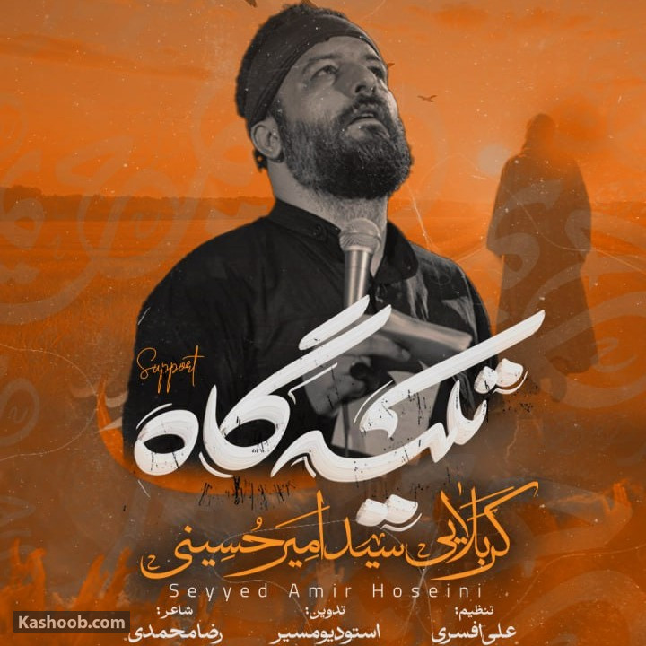 سید امیر حسینی مناجات با امام زمان (عج)