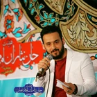 وحید شکری