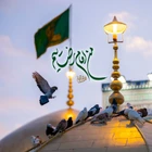 مناجات با امام رضا (ع)