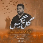 محمدرضا خامه چیان