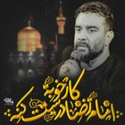  مناجات با امام رضا (ع) استودیویی منتخب سردبیر