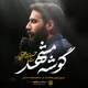 نماهنگ گوشه مشهد