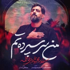 سید مجید بنی فاطمه