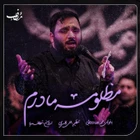 محمدرضا دولابی