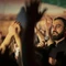 همه است گفت و گویم که فقط حسین عشق است