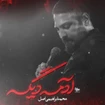محمد ابراهیمی اصل