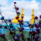 تحویل سال جدید