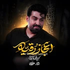 مهدی رعنایی