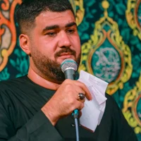 وفات حضرت معصومه (س) شور