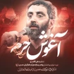 سید رضا نریمانی