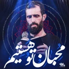 سید علی مومنی