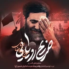 سید رضا نریمانی