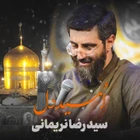 مناجات با امام رضا (ع)