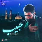 سید مجید بنی فاطمه