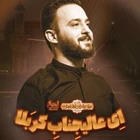 وحید شکری