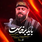 محسن محمدی پناه