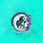 ولادت حضرت علی اکبر (ع)