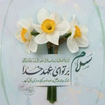  نیمه شعبان ولادت امام زمان (عج)