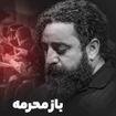 سید حجت بحرالعلومی