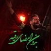 امیر برومند