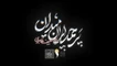 نماهنگ پرچمداران میدان حنیف طاهری