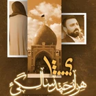 محمد ابراهیمی اصل