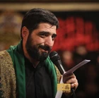 سید مجید بنی فاطمه