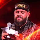 محسن محمدی پناه