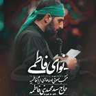 سید مجید بنی فاطمه